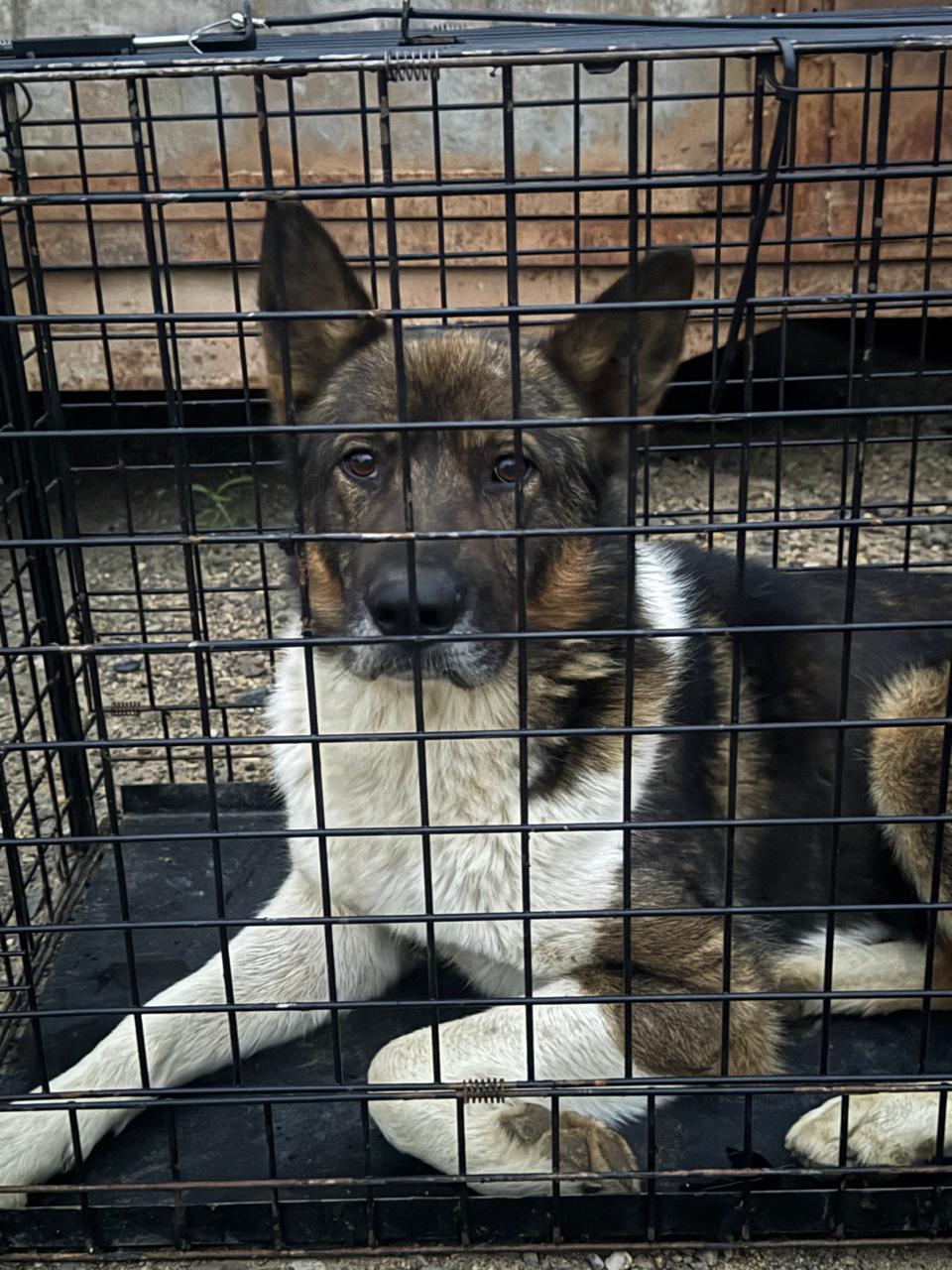 50 лет Oктября 48