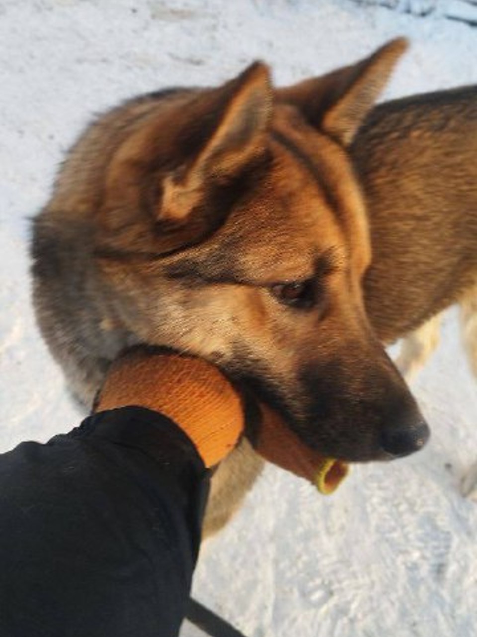 Иреляхская 2в