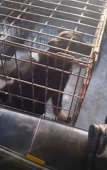 ул. Звeзднaя