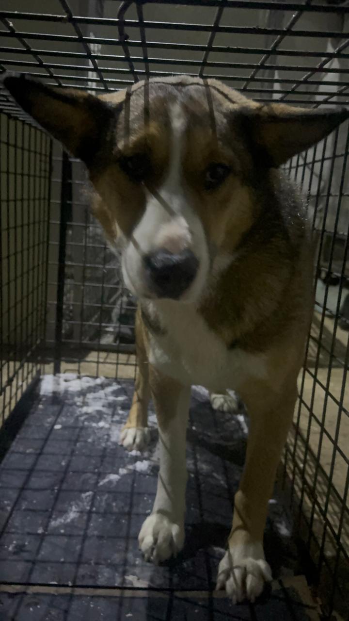 Мухтуйская 29