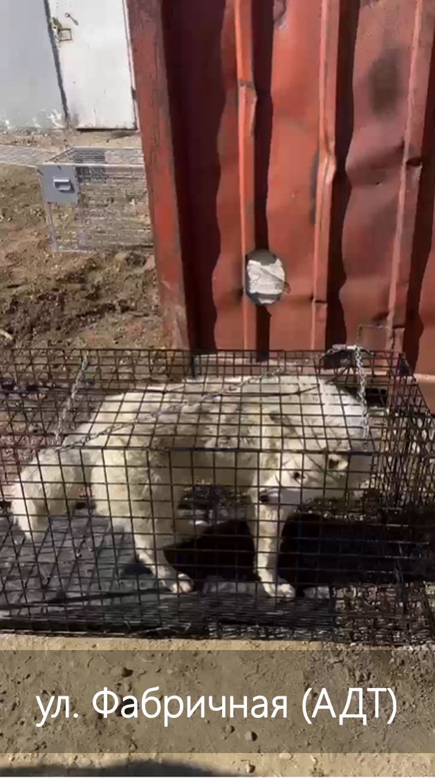 ул. Фабричнaя