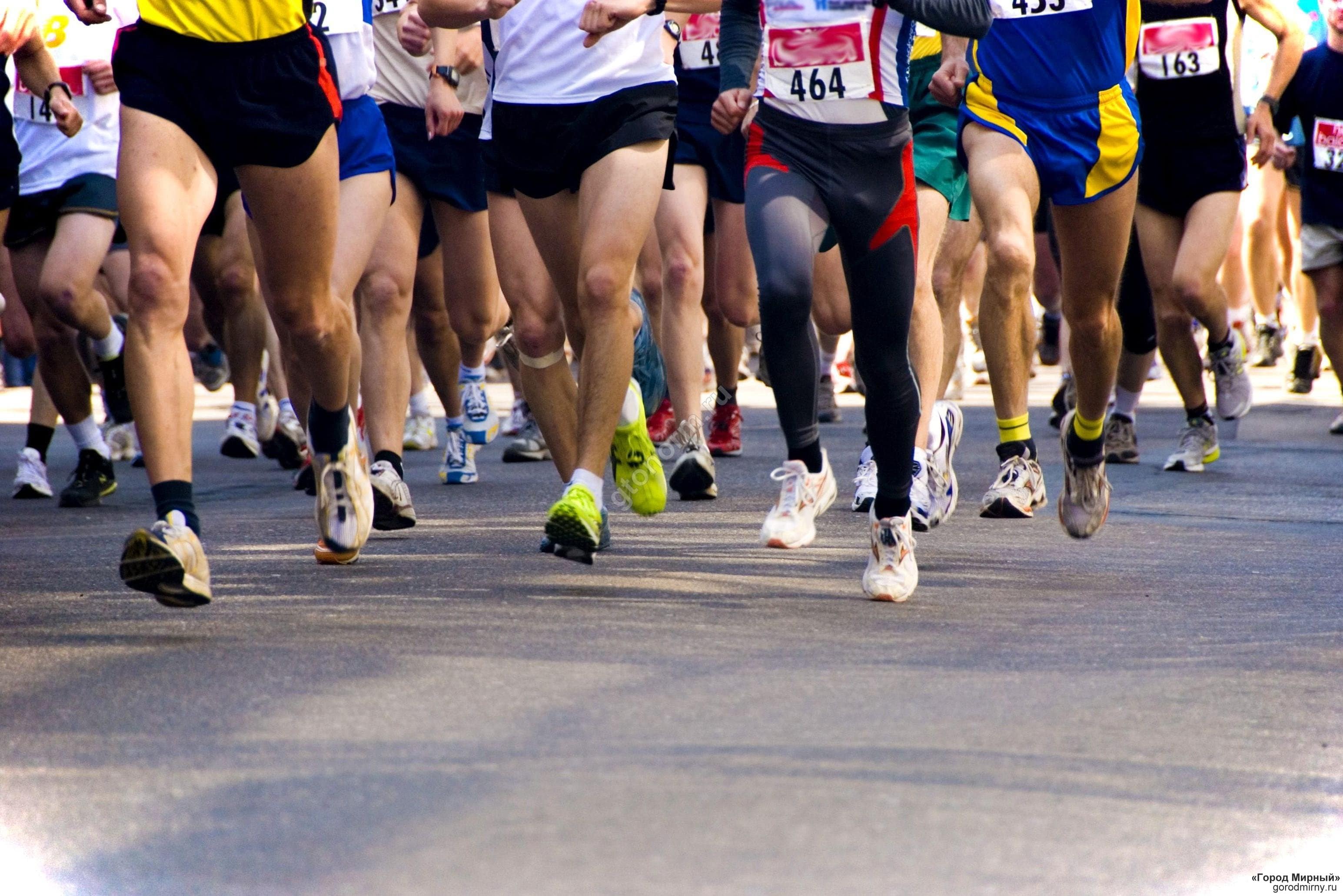 Подтянись к движению