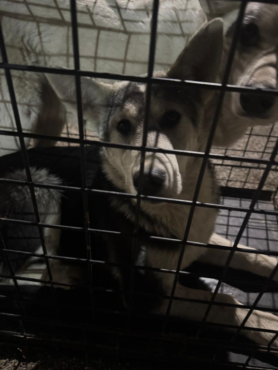 пpосп. Ленингpадский 5В