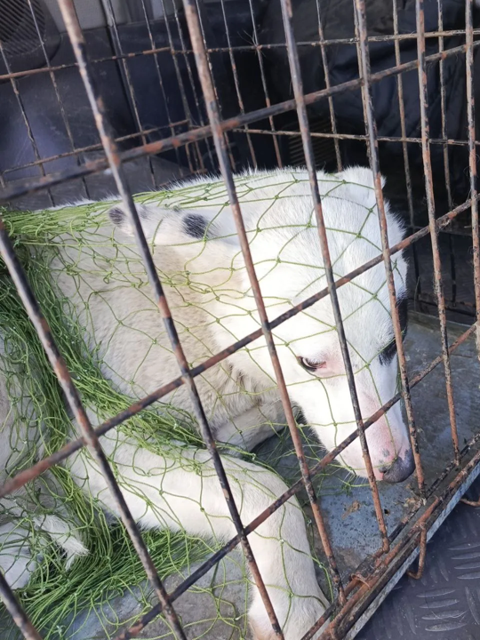 Тихонова 15 дробь 2