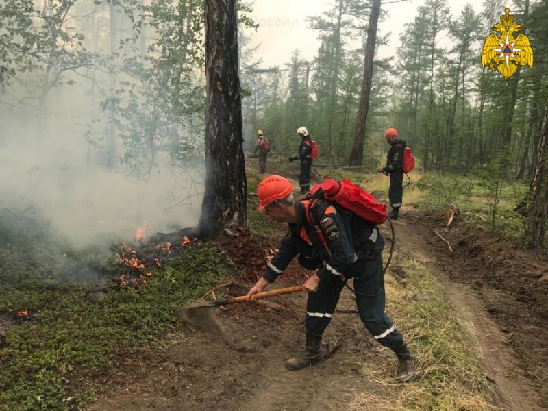 Сводка по лесным пожарам на 07.08.2024