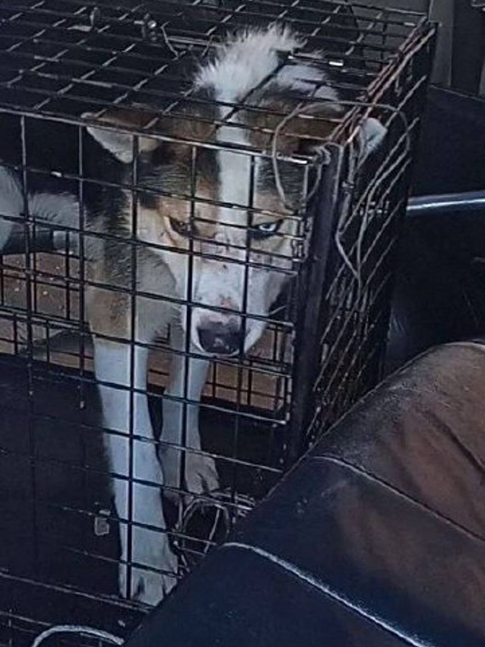 Ойунского 21