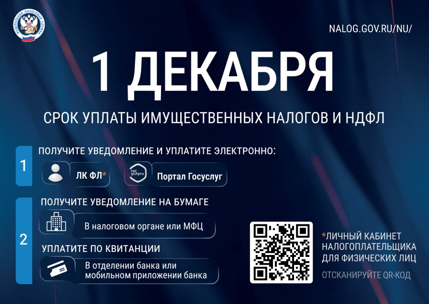 1 декабря – срок уплаты имущественных налогов и НДФЛ