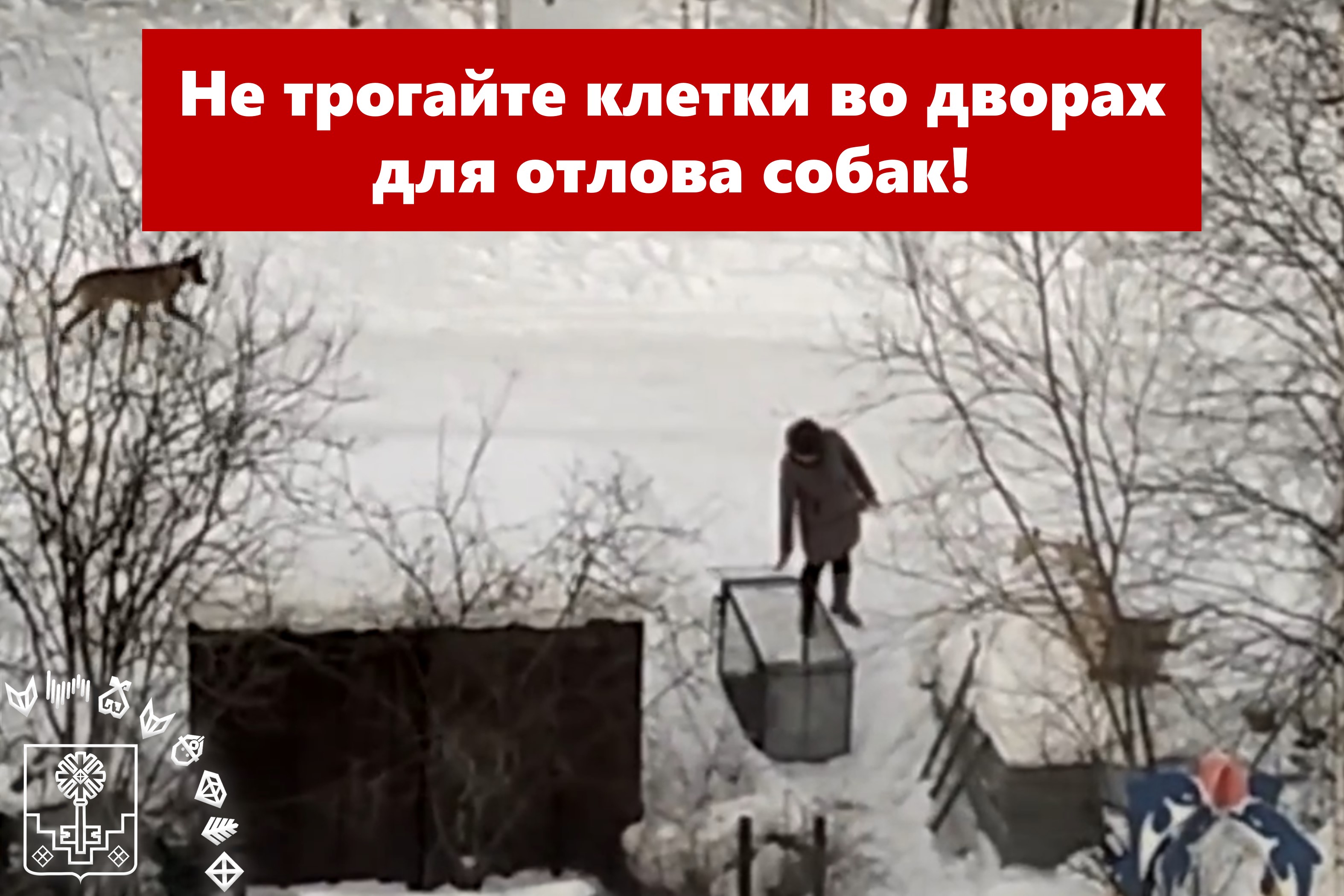 Пожалуйста, не мешайте отловщикам!