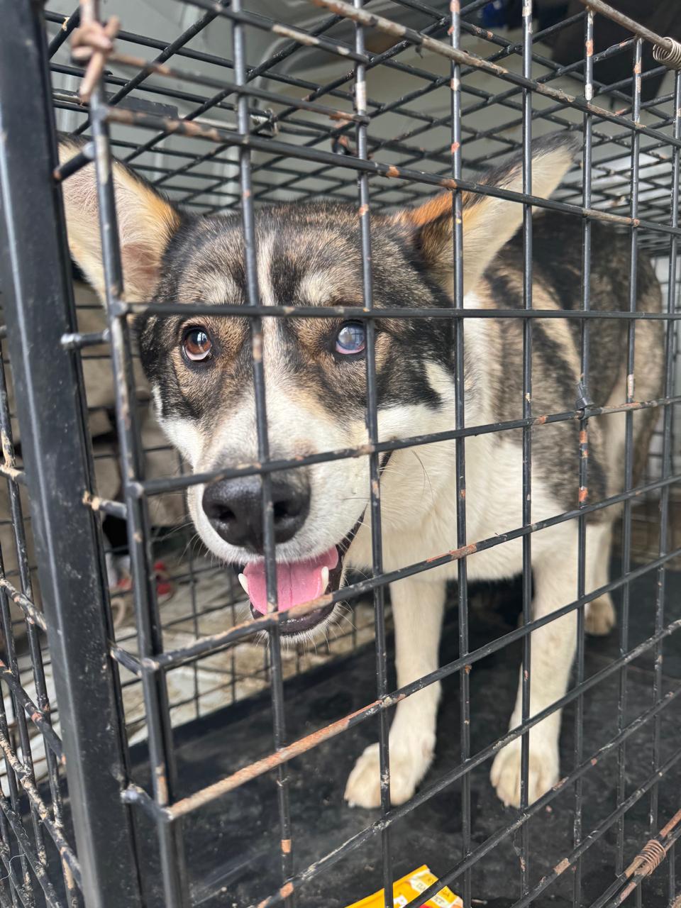 Вилюйская (школа №8)