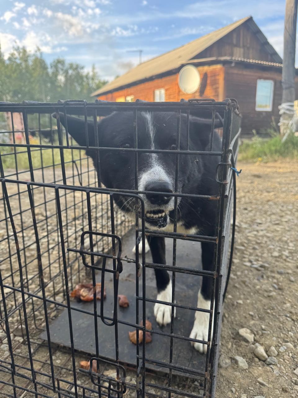 Космонавтов 62