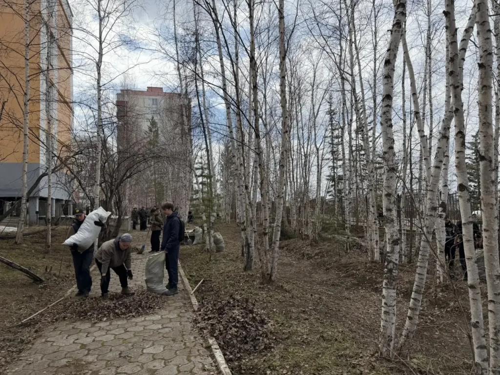 IMG_20260520_100415.png