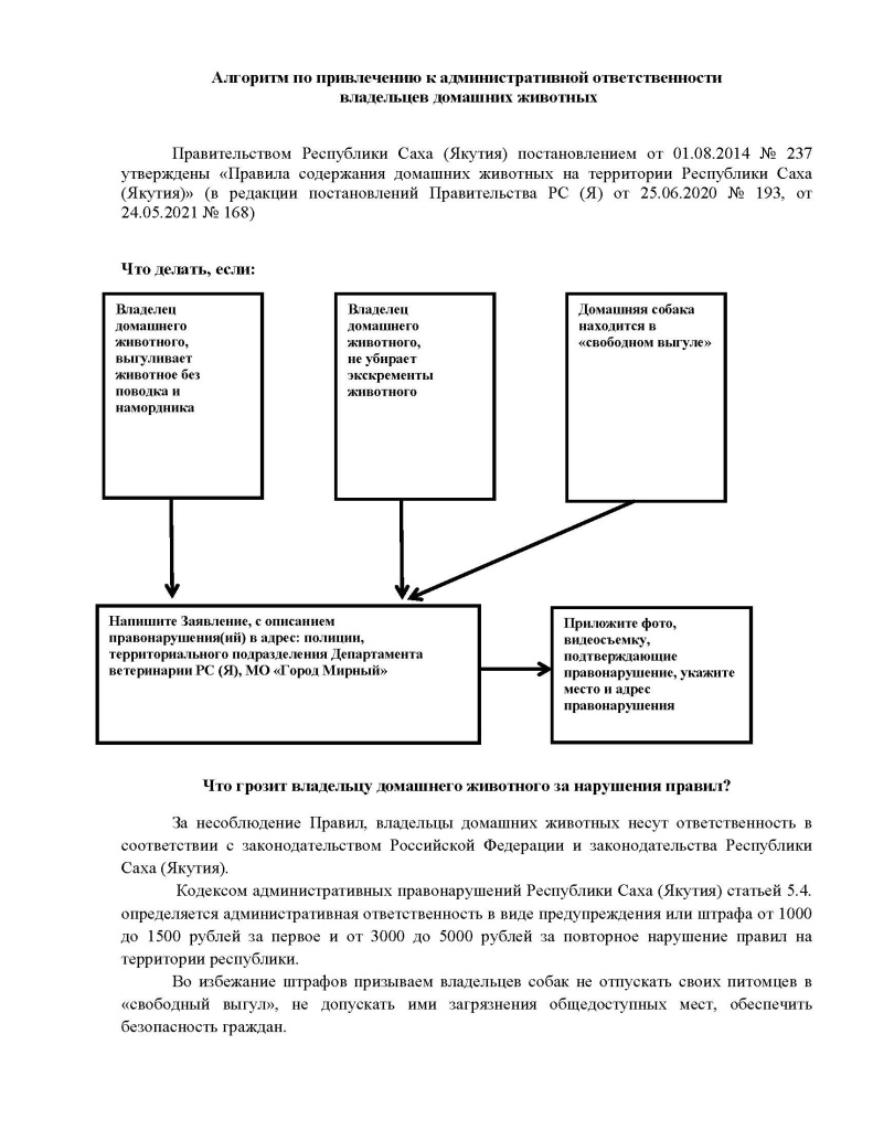 СМИ статья Алгоритм (2).jpg