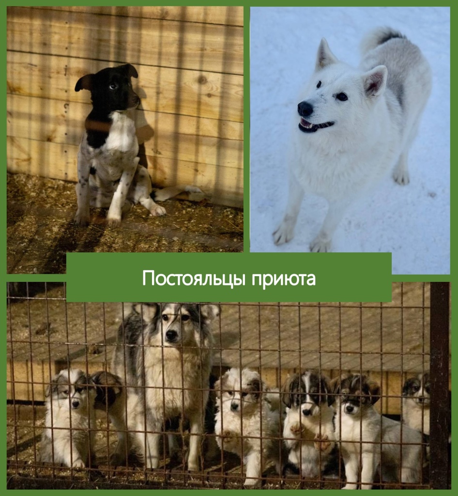 Постояльцы 05.11.2024.jpg