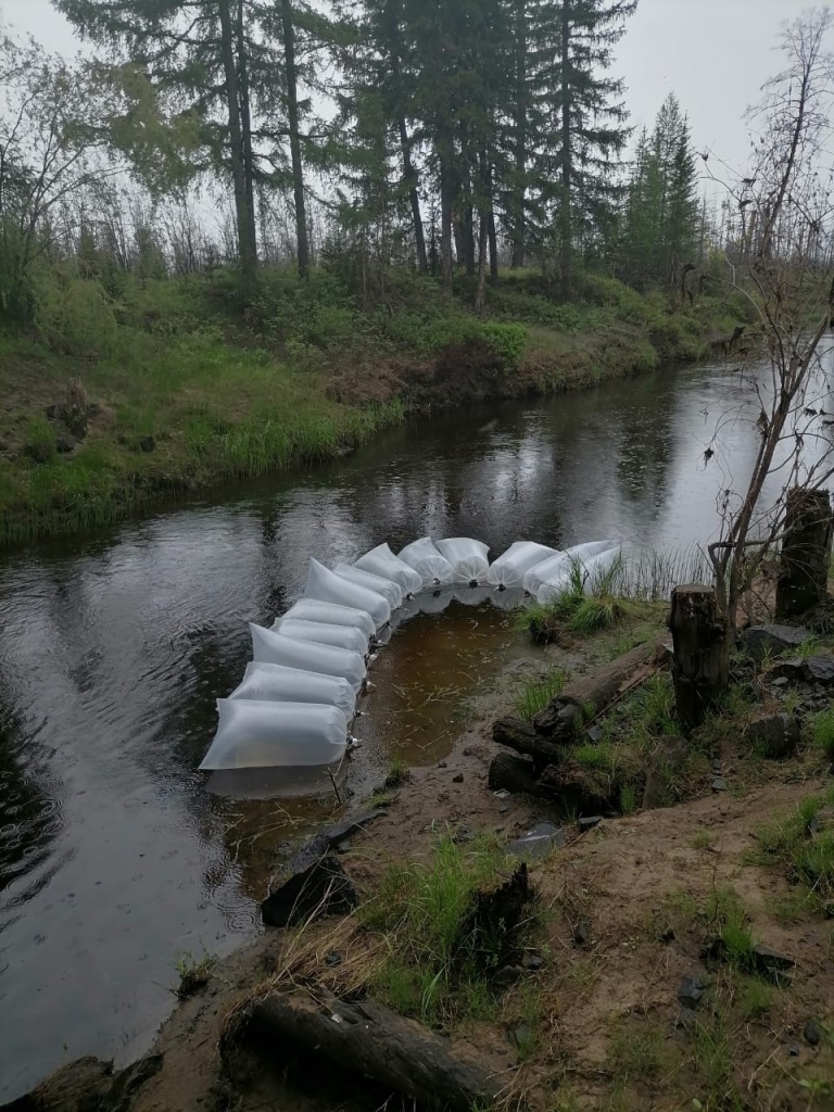 WhatsApp Image 2023-06-26 at 09.49.53.jpeg