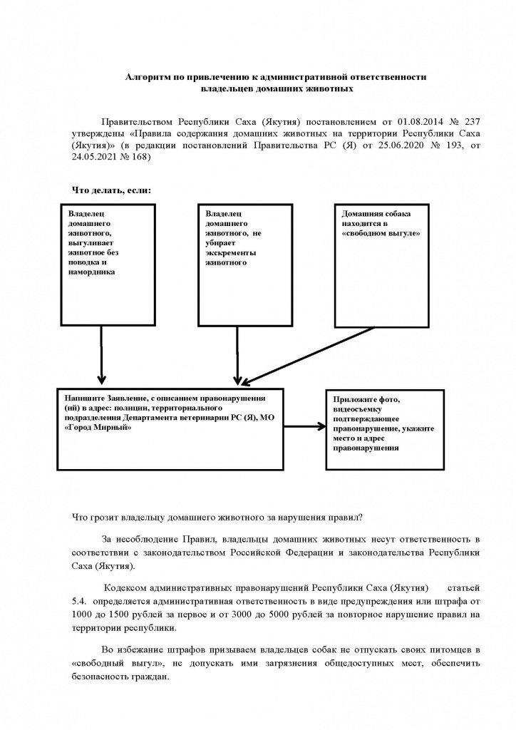 СМИ статья Алгоритм.jpg